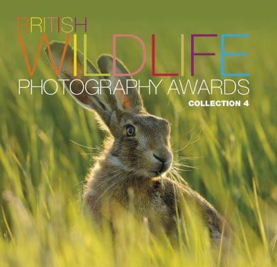 British Wildlife Photography Awards. Collection 4