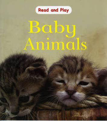 Baby Animals