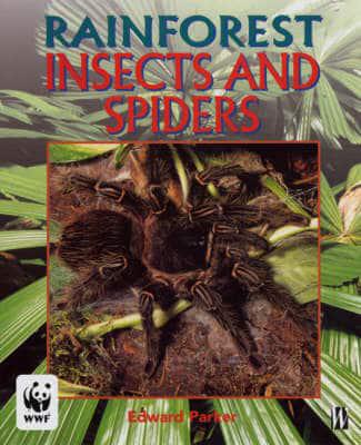 Rainforest Insects and Spiders