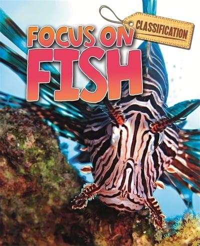 Focus on Fish