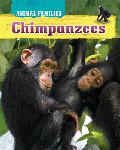 Chimpanzees