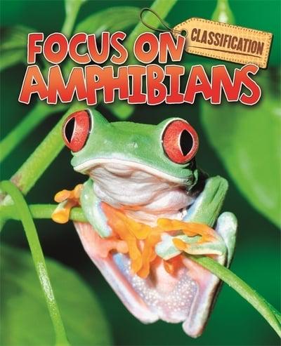 Focus on Amphibians