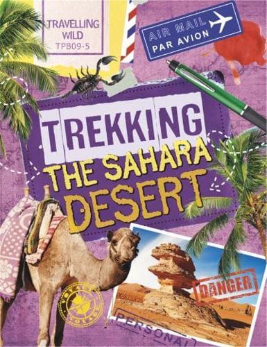Trekking the Sahara Desert