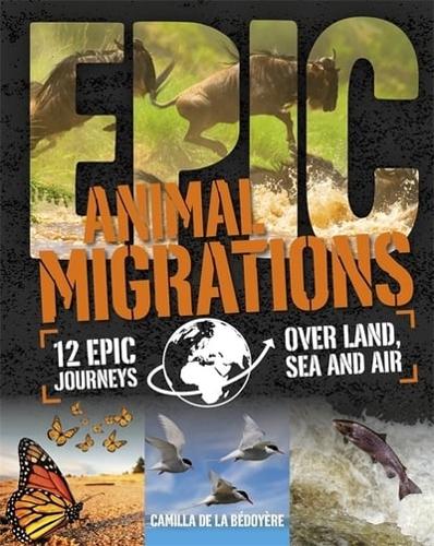 Animal Migrations