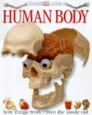 Human Body