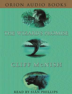 The Wizard's Promise