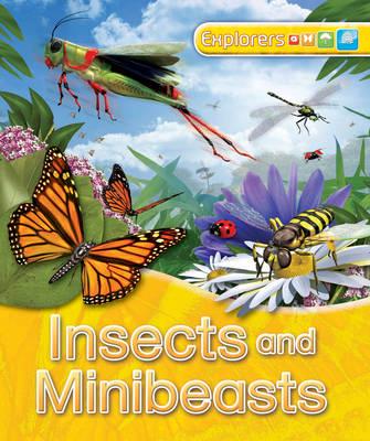 Insects and Minibeasts