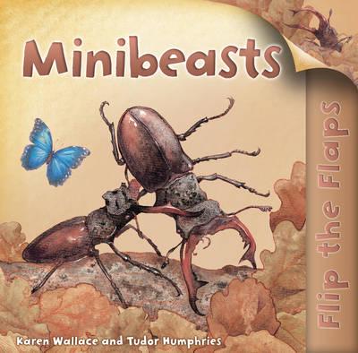 Minibeasts