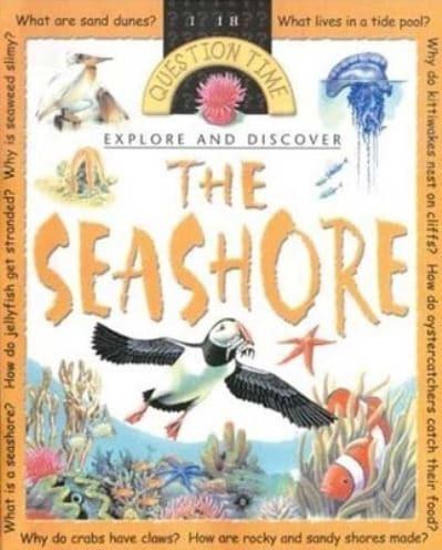 Explore and Discover the Seashore