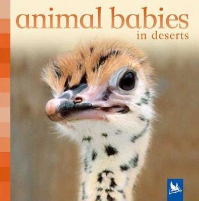 Animal Babies in Deserts