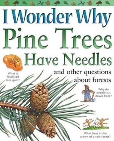 I Wonder Why Pine Trees Have Needles