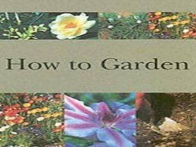 How to Garden