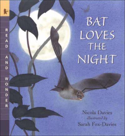 Bat Loves the Night