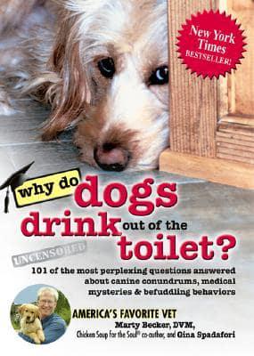 Why Do Dogs Drink Out of the Toilet?