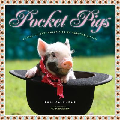 Pocket Pigs: Teacup Pigs of Pennywell Farm Calendar 2011