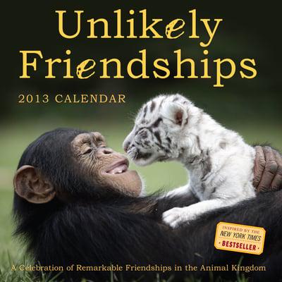 Unlikely Friendships 2013 Wall Calendar