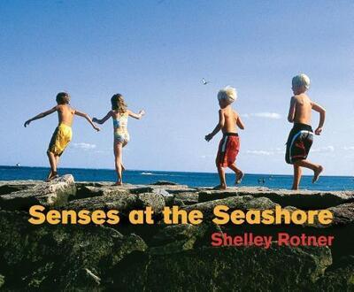 Senses at the Seashore