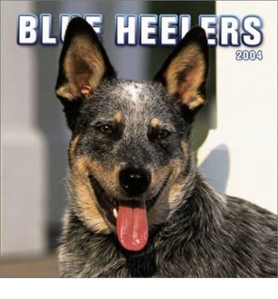 Blue Heelers Wall Calendar. 2004