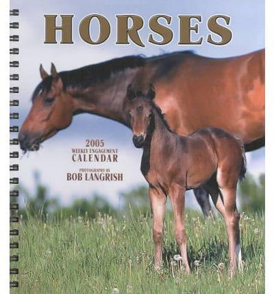 Horses Hardcover Weekly Engagement