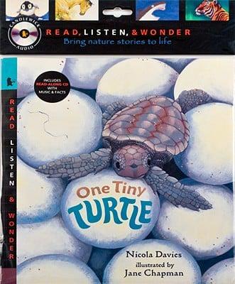 One Tiny Turtle With Audio, Peggable