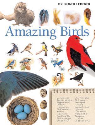 Amazing Birds