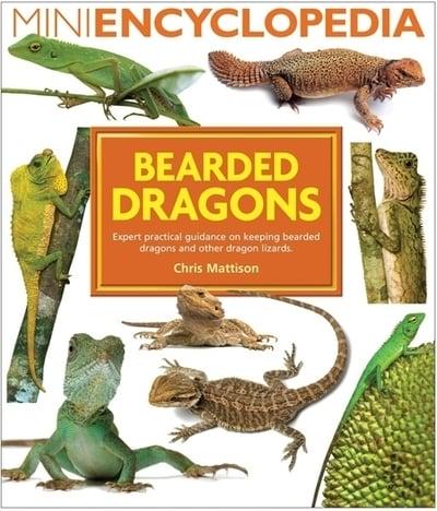 Bearded Dragons