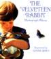 The Velveteen Rabbit Photo Album
