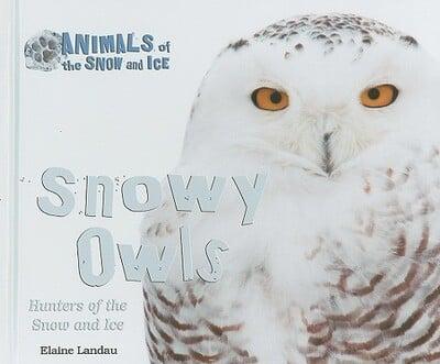 Snowy Owls