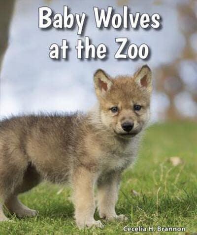 Baby Wolves at the Zoo