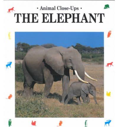 The Elephant