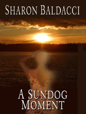 A Sundog Moment