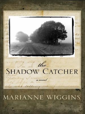 The Shadow Catcher