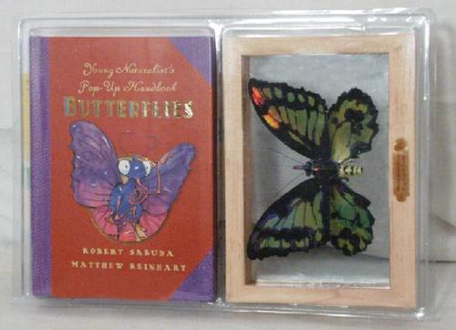 Young Naturalist's Pop-Up Handbook. Butterflies