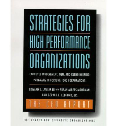 Strategies for High Performance Organizations