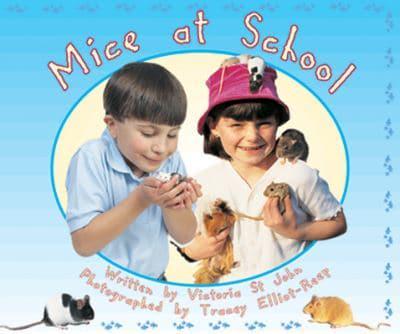 Mice at School (Level 15)