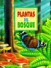 Plantas De Los Bosques