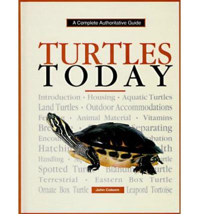 Turtles Yearbook