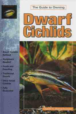 Dwarf Cichlids