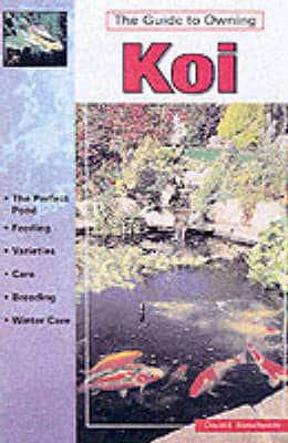 The Guide to Owning Koi