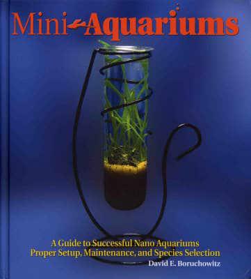 Mini Aquariums