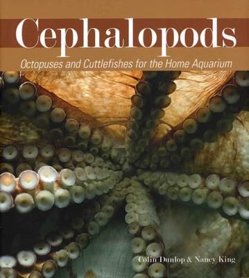 Cephalopods