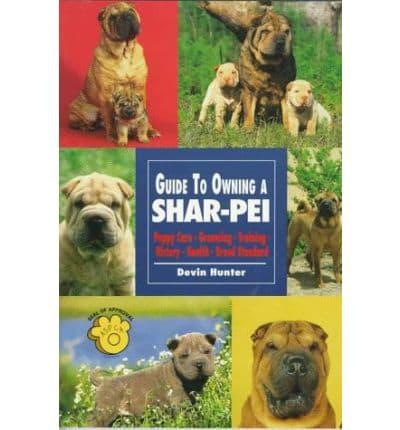 Guide to Owning a Shar Pei