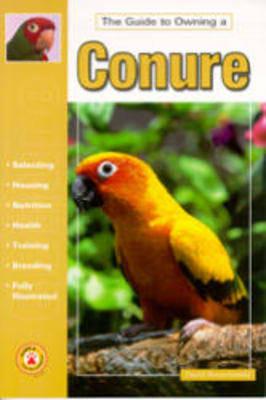 The Guide to Owning a Conure