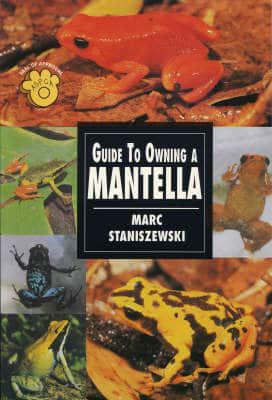 Guide to Owning a Mantella