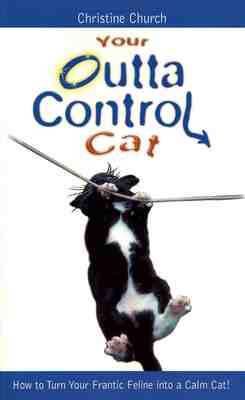 Your Outta Control Cat