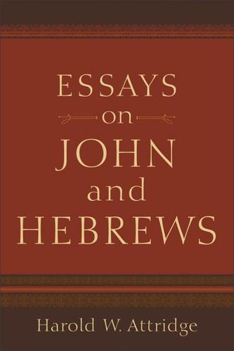 Essays on John and Hebrews