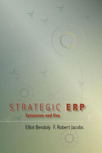 Strategic ERP Extension and Use