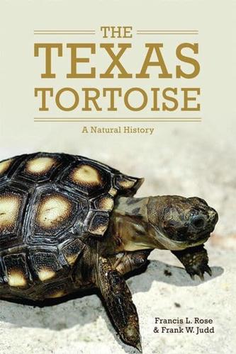 The Texas Tortoise