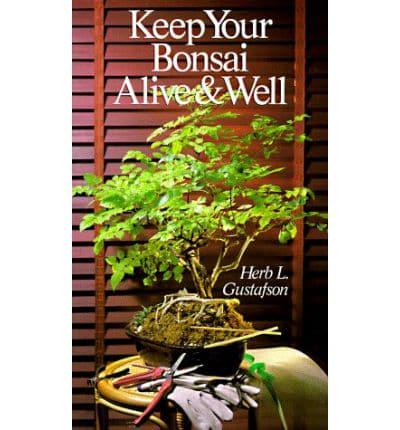 Keep Your Bonsai Alive & Well
