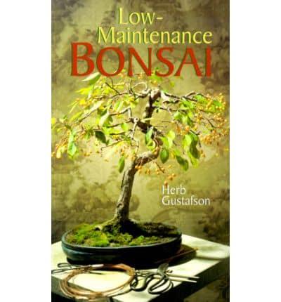 Low-Maintenance Bonsai